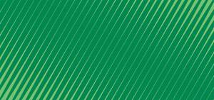 彼女たちはなぜキャリアで成功できたのか