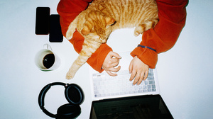 リモートワークでキャリアを歩み始めた人が直面する課題と克服法