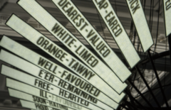 「経験」という新しいメディア