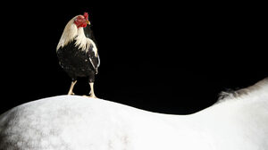 斬新なビジネスを生み出す「便乗」戦略を活用せよ