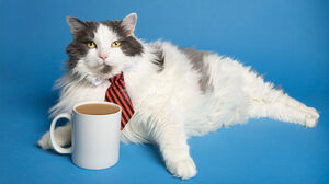 「弱いつながり」はデジタル時代の仕事探しにどう役立つか