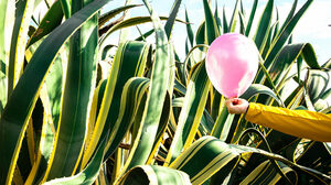 採用面接で心理的安全性を重んじる組織か否かを見極める5つの質問