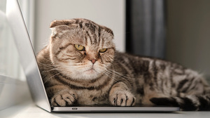 仕事でスランプに陥った時、やる気を高める方法