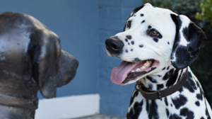 人間関係を速やかに構築する4つのステップ