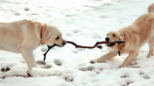 部下に仕事を任せるための効果的なステップ