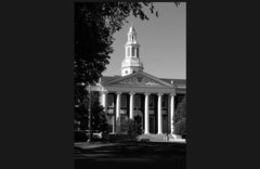 企業こそ市場資本主義の救世主である