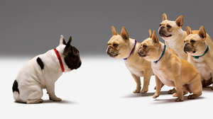 CEOと取締役会議長の関係を左右する5つの局面