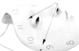 社員が納得する「効率経営」の追求