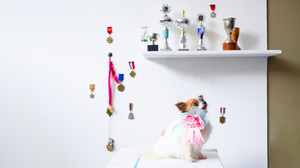 上司の「お気に入り」になれなくてもキャリアを好転させる方法