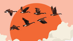 米国ではなぜ次期CEOを取締役会から選ぶ企業が増えているのか