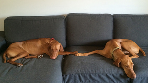 リーダーに欠かせない共感力を発揮する6つの方法