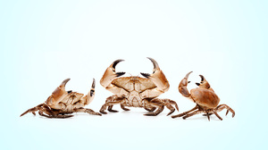 「意地悪な職場」につながる負の連鎖を断ち切る方法