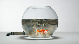 心理的安全性とは何か、生みの親エイミー C. エドモンドソンに聞く