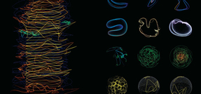 デザインの原則を組織に応用する