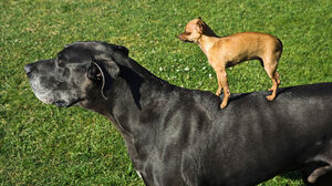 スポンサーシッププログラムを成功に導く6つの行動