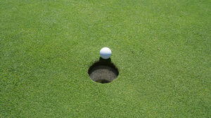 従業員が実力を最大限に発揮できていない時、リーダーは何をすべきか