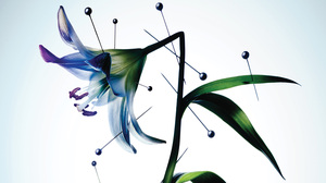 優れたリーダーは「いま起きていること」の重大性を見極める