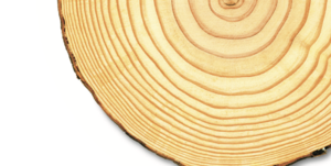 投資家は企業に長期目標を求めよ