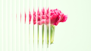 実態を伴わない「思いやりの文化」が従業員の離職につながる