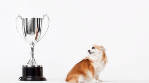 「成功すれば幸福になる」のではなく「幸福が成功を呼ぶ」人生を手に入れる