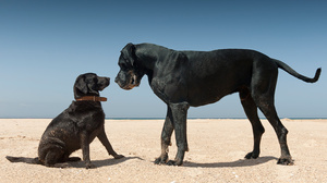 上司より知識がある分野で適切に振る舞う方法
