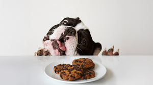 「最高の人材」を見逃さない意思決定のアプローチ