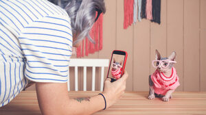 ソーシャルメディアに投資をしてもブランドは成長しない