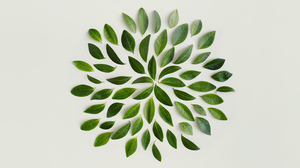 気候リテラシーが事業活動の安定に欠かせない理由