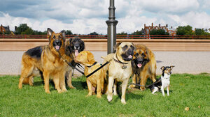 自力で問題を解決できるチームの育て方