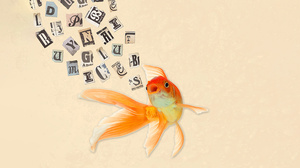 チームで率直な対話ができていない時、実践すべき4つの習慣