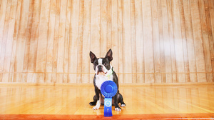 あなたの出世や成功を妬む同僚への対処法