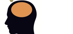 トヨタ生産方式で知識労働を改善する