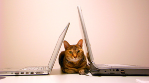 会議を効率化するデータ活用の5つのポイント