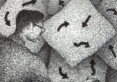 多機能チームを活性化させる業績評価システム