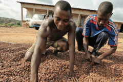 最後の巨大市場 アフリカの攻略法