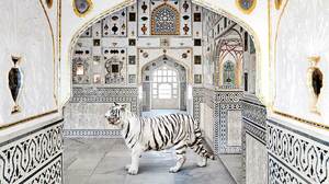 AIの力で顧客が望むパーソナライゼーションを実現する