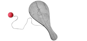 戦略的説得の技術