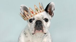 経営者の現場離れが企業にもたらすリスク