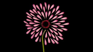 ビジネス・トランスフォーメーションを目指すのはもう古いのか