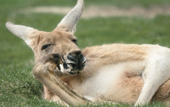 必要なのは忍耐ではなく、回復のための時間