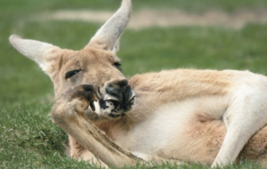 必要なのは忍耐ではなく、回復のための時間