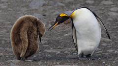 成長する人はフィードバックを上手に受け止める