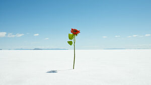 レジリエンスが求められた1年、私たちは何を学んだのか