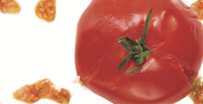 マネジャーをつくらない会社