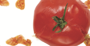 マネジャーをつくらない会社