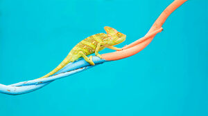 変化が最も必要な時、過去に縛られずに前進するための方法