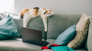 従業員の離職率増加につながる「退屈感」を見過ごすな