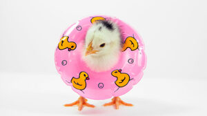 スタートアップが景気後退に備えて講じるべき5つの対策