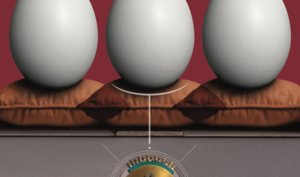 正しいリスクは競争優位の源泉