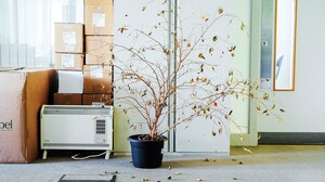 ハイブリッドワークの限界を見極めよ